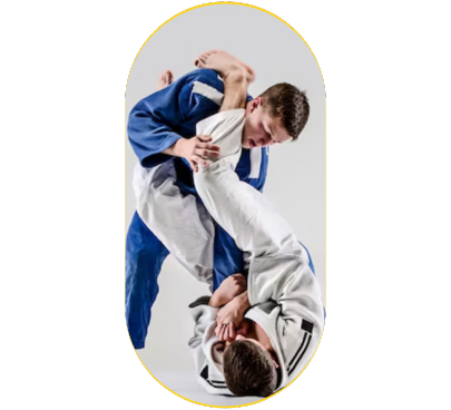 Professor de Artes Marciais